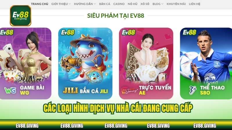 Các loại hình dịch vụ nhà cái đang cung cấp