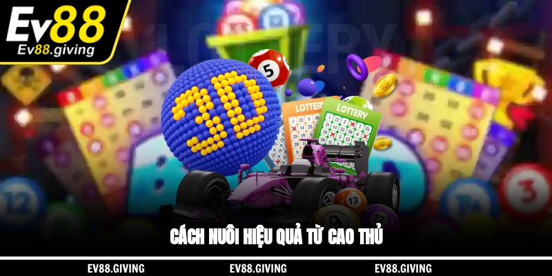 Cách nuôi hiệu quả từ cao thủ